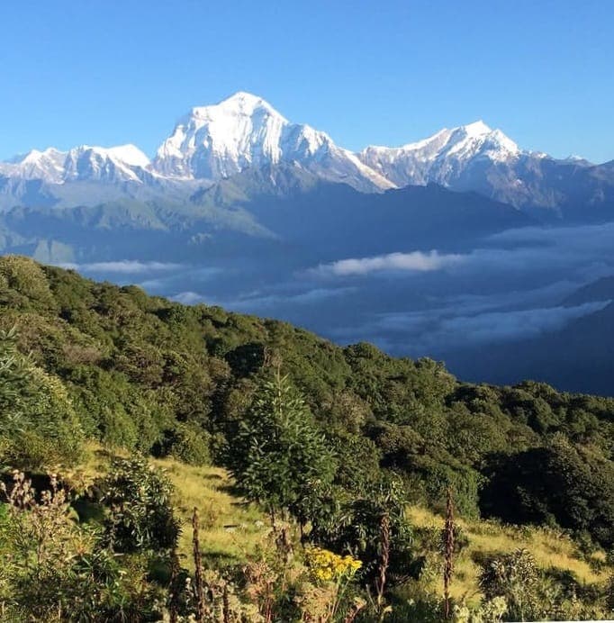 Poon Hill Trek — photo 1