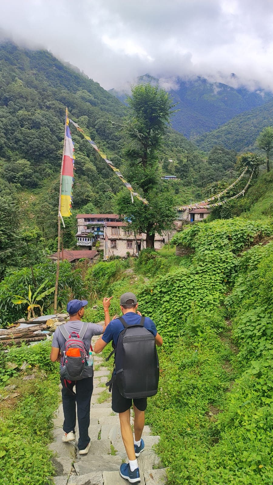 Poon Hill Trek — photo 4