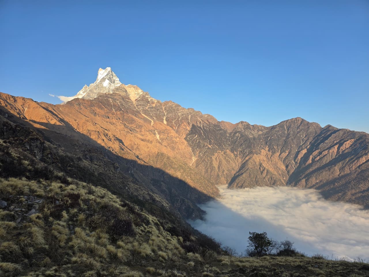 Mardi Himal Trek — photo 9