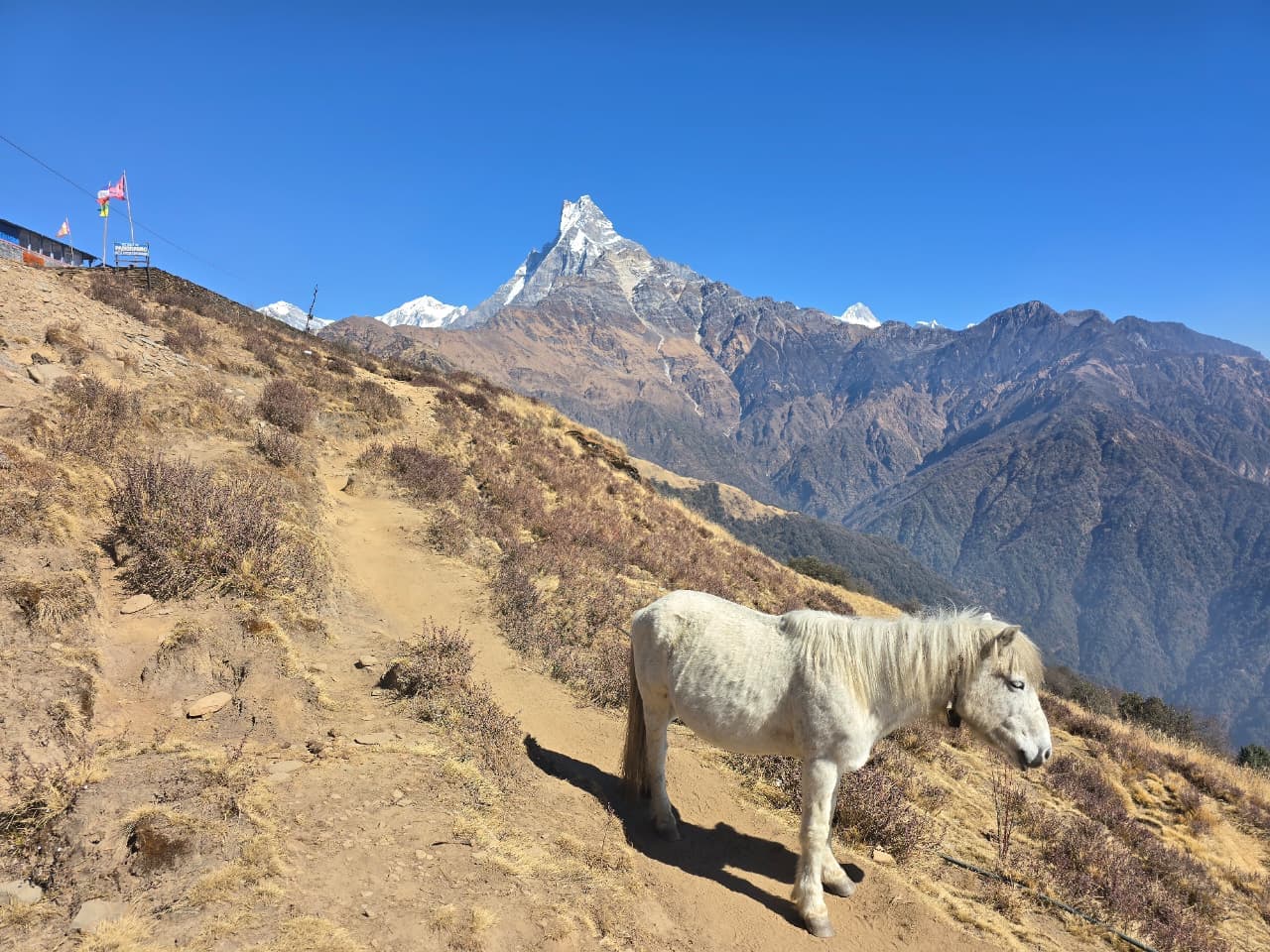 Mardi Himal Trek — photo 11