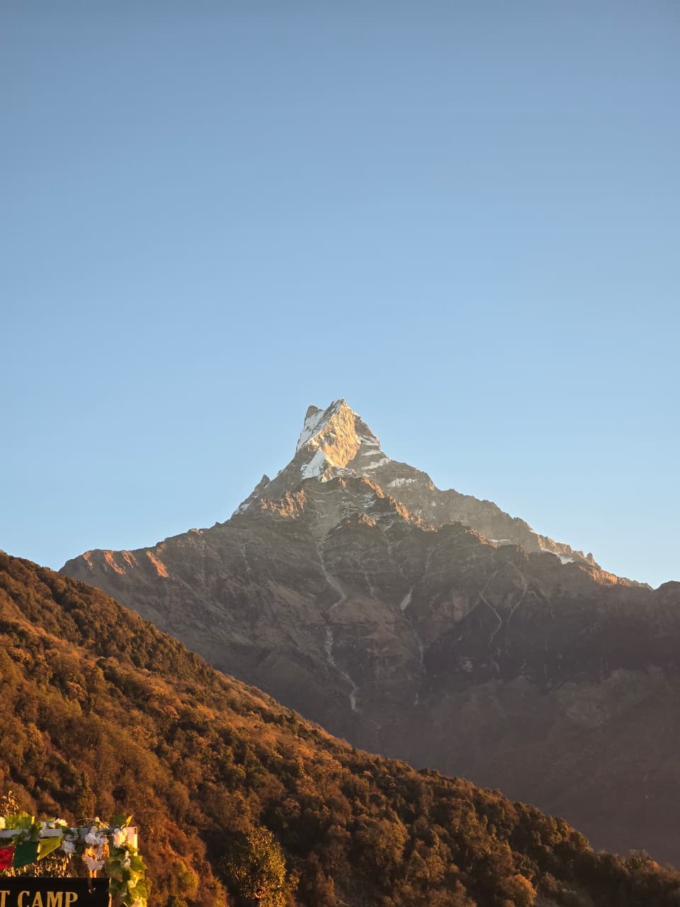 Mardi Himal Trek — photo 12