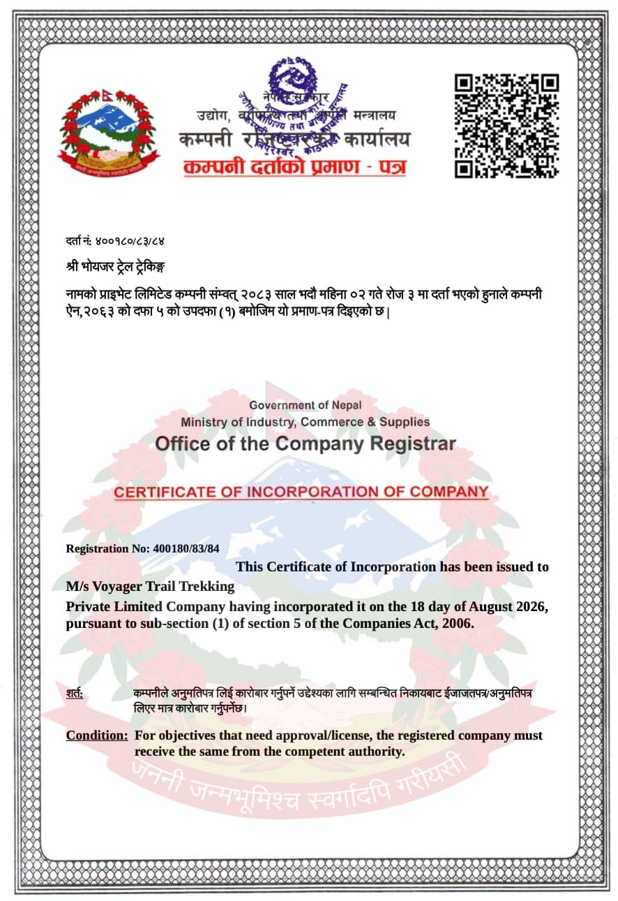 Company registration certificate