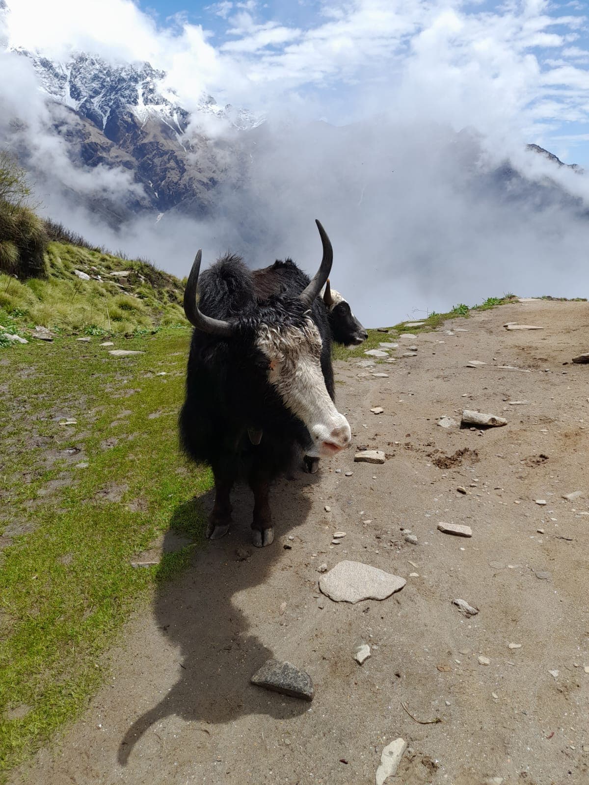 Mardi Himal Trek